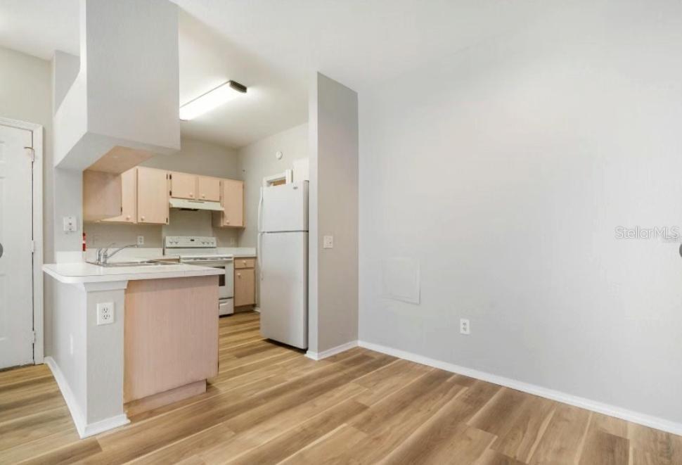 13015 SANCTUARY COVE DR #204, TEMPLE TERRACE, FL, 33637