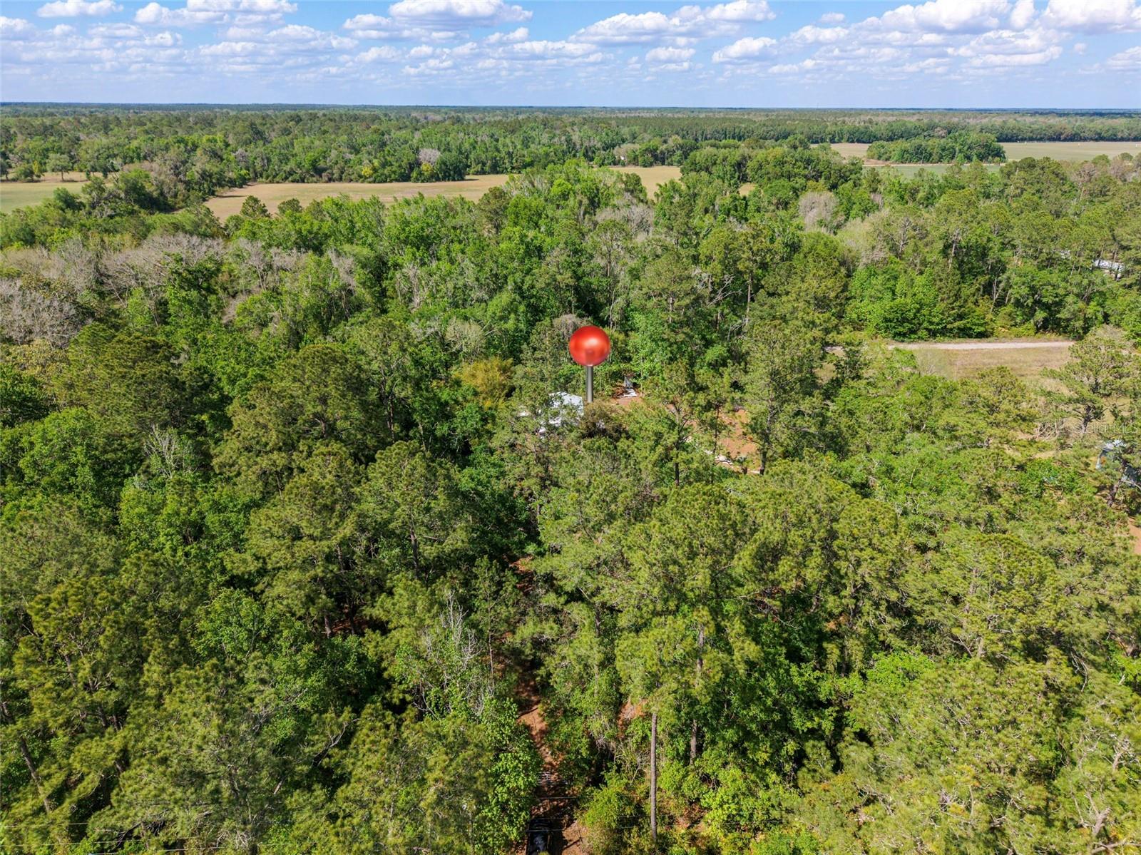 7324 NW 152 PL, ALACHUA, FL, 32615