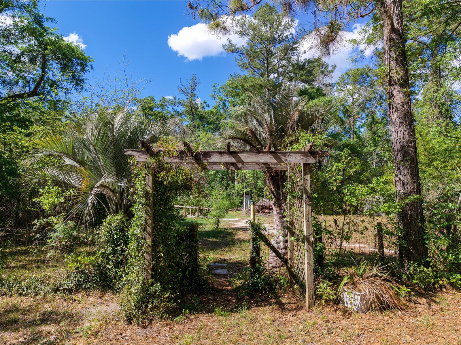 7324 NW 152 PL, ALACHUA, FL, 32615