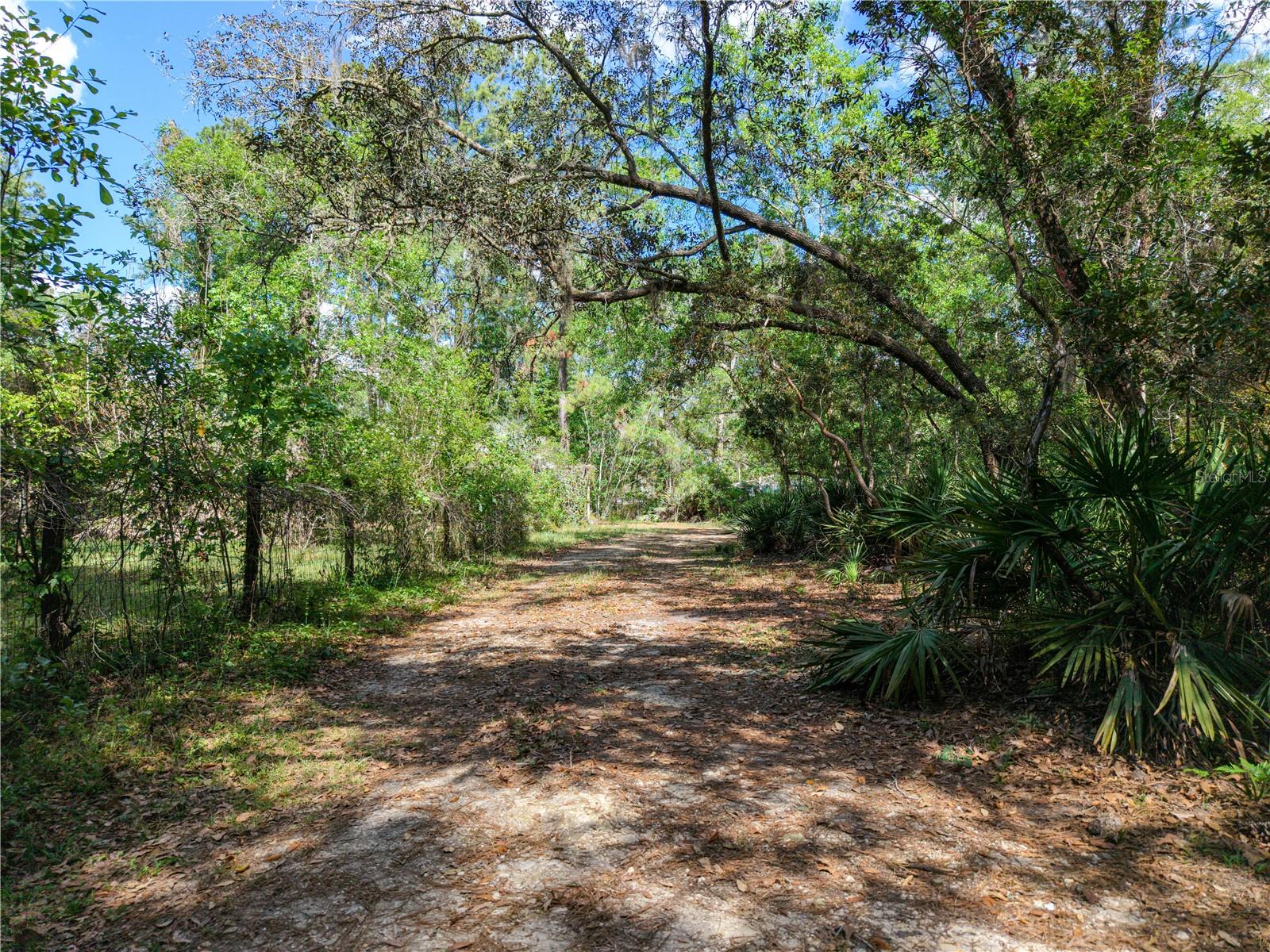 7324 NW 152 PL, ALACHUA, FL, 32615