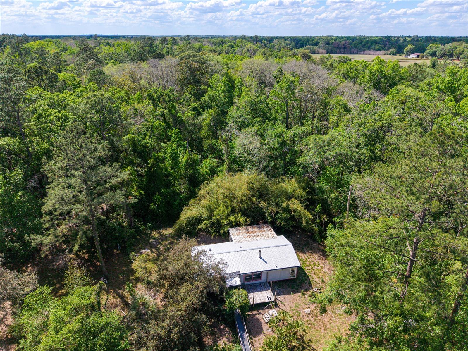 7324 NW 152 PL, ALACHUA, FL, 32615