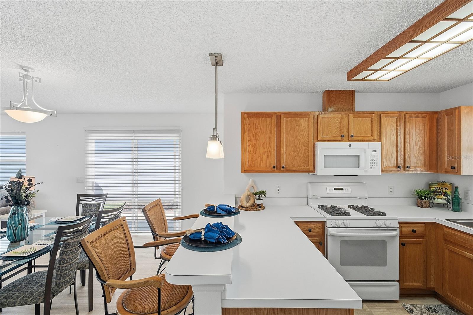 1668 CAMPOS DR, THE VILLAGES, FL, 32162