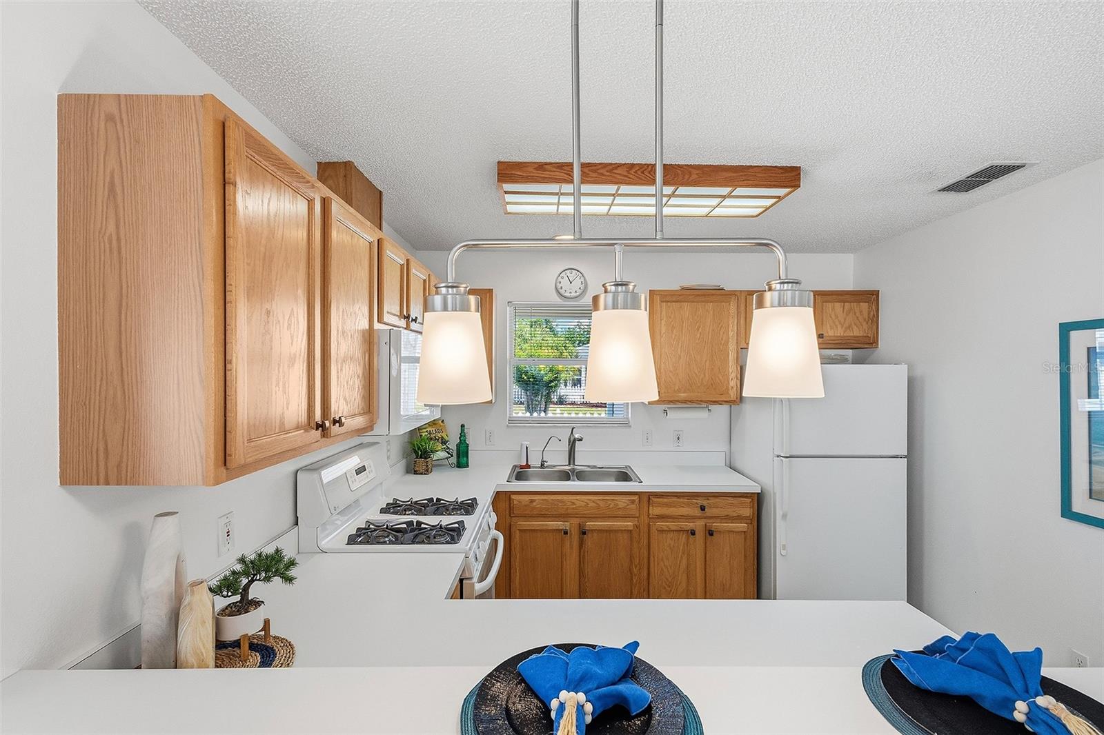 1668 CAMPOS DR, THE VILLAGES, FL, 32162