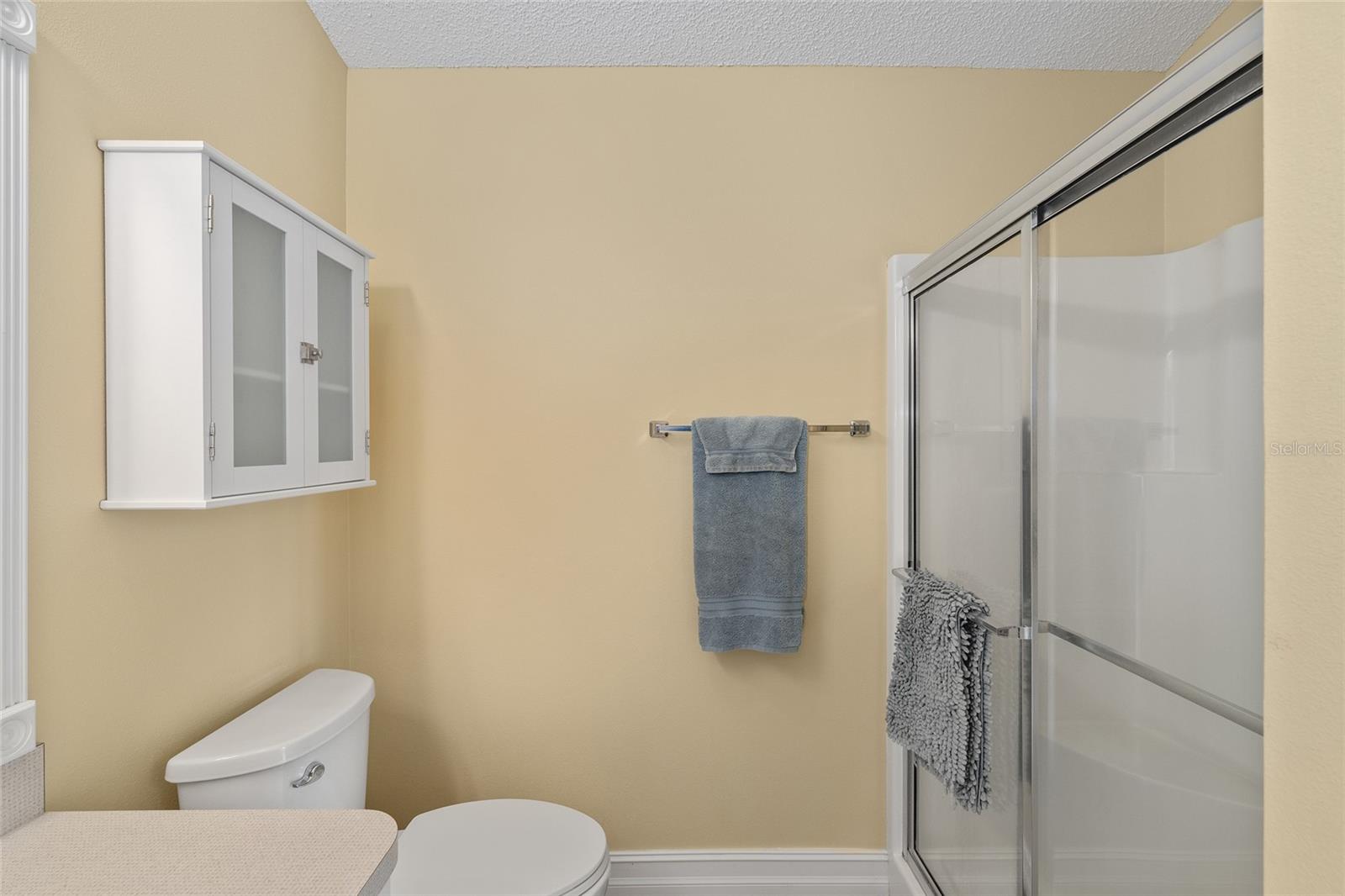 1423 CONCHAS DR, THE VILLAGES, FL, 32162