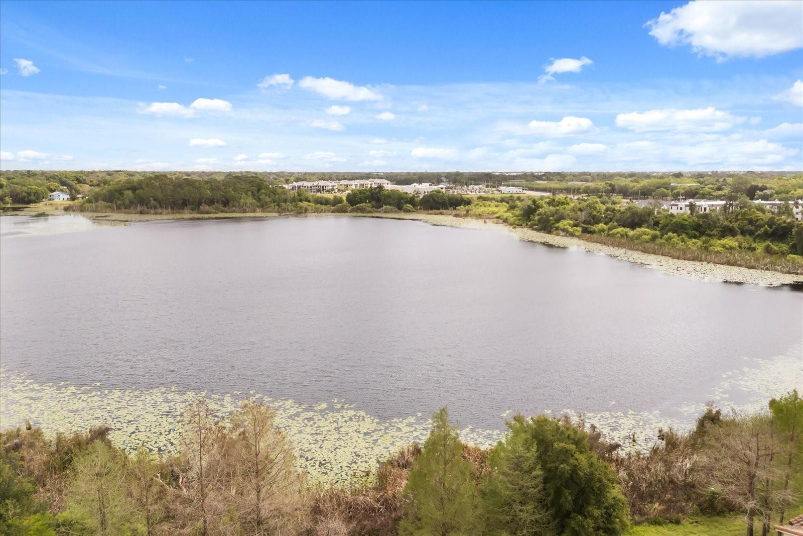 1161 CHARMING ST, MAITLAND, FL, 32751