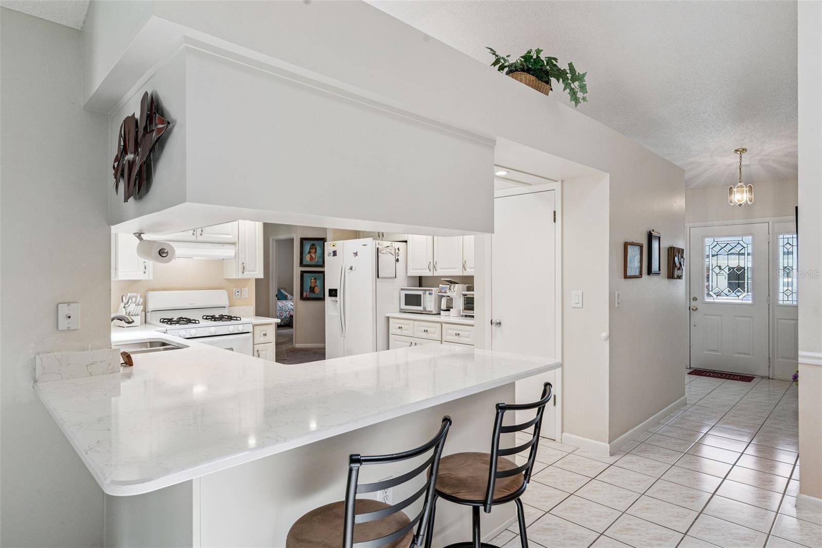 25933 NEWCOMBE CIR, LEESBURG, FL, 34748