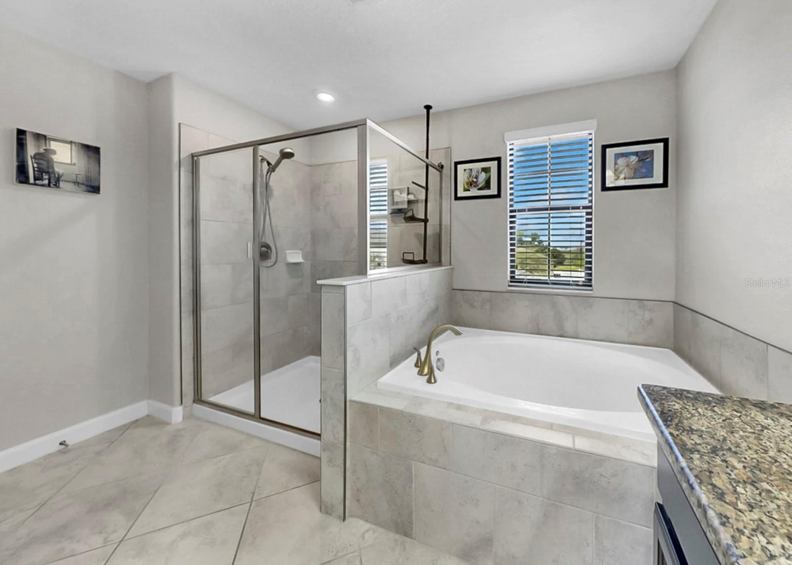 13256 WILDFLOWER MEADOW DR, RIVERVIEW, FL, 33579