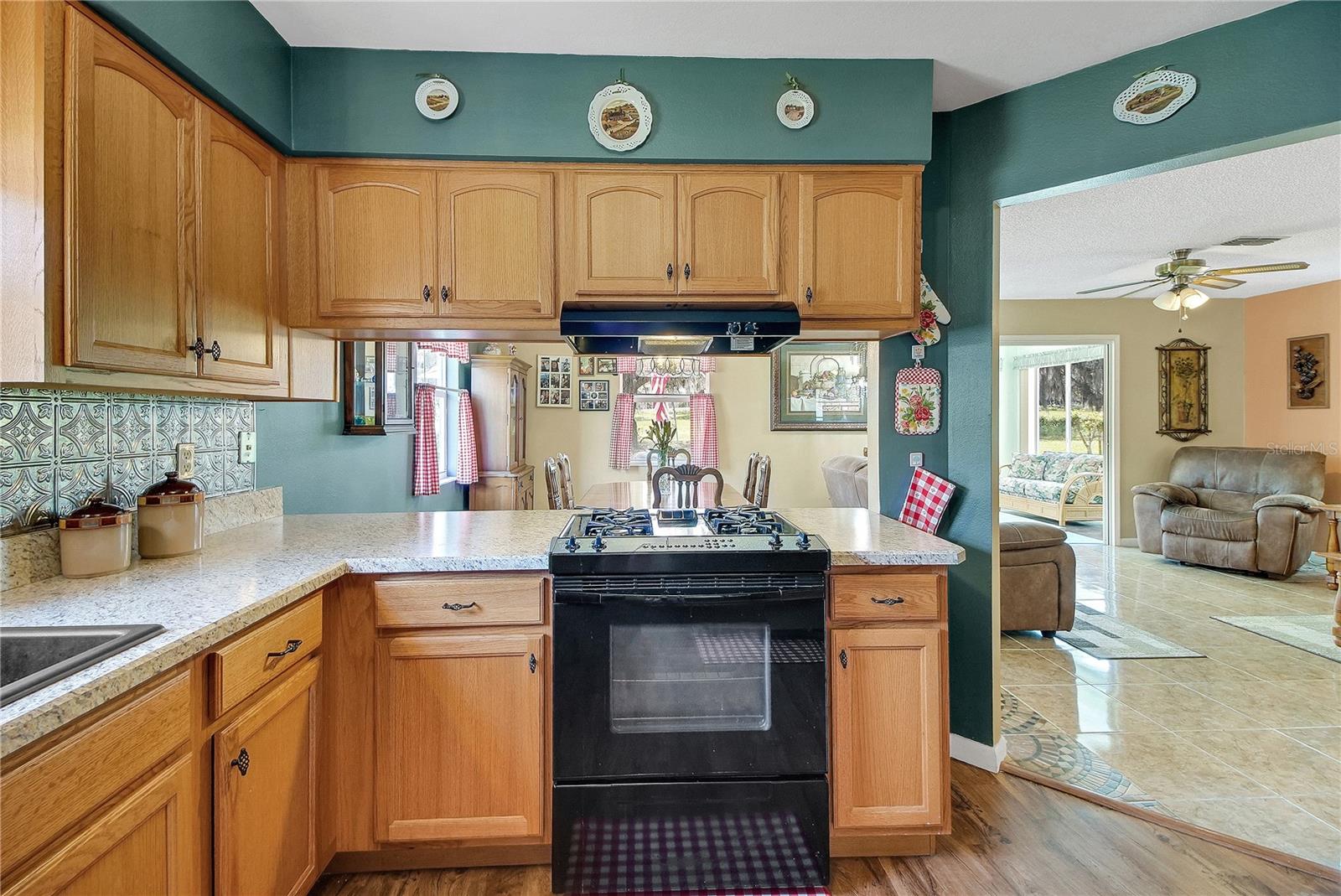 2218 ORKNEY DR, LEESBURG, FL, 34788