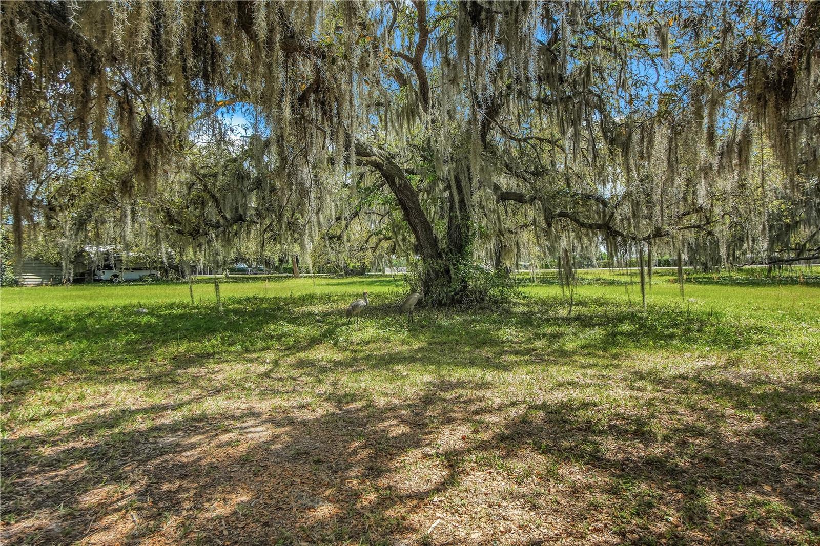 2218 ORKNEY DR, LEESBURG, FL, 34788