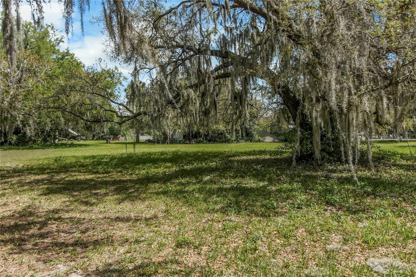 2218 ORKNEY DR, LEESBURG, FL, 34788