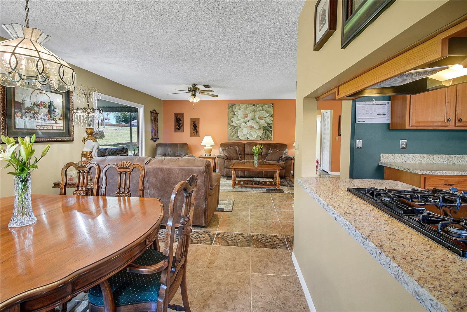 2218 ORKNEY DR, LEESBURG, FL, 34788