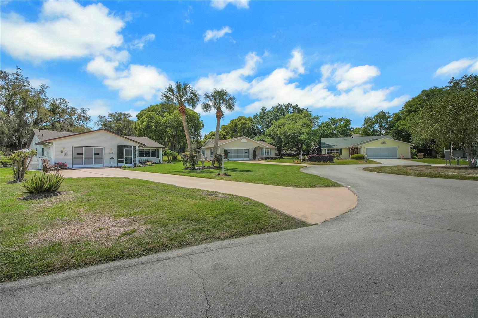 2218 ORKNEY DR, LEESBURG, FL, 34788