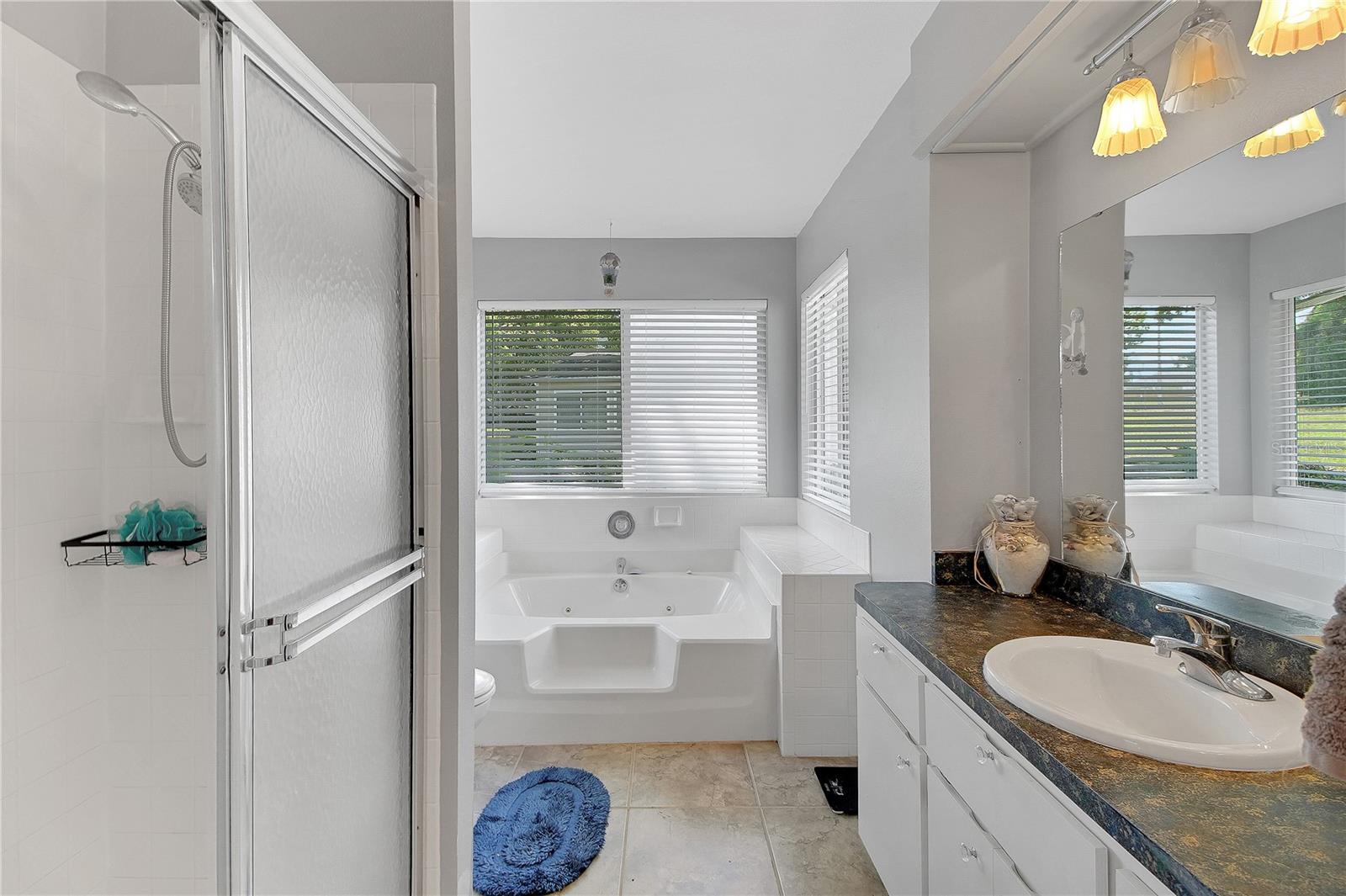 2218 ORKNEY DR, LEESBURG, FL, 34788