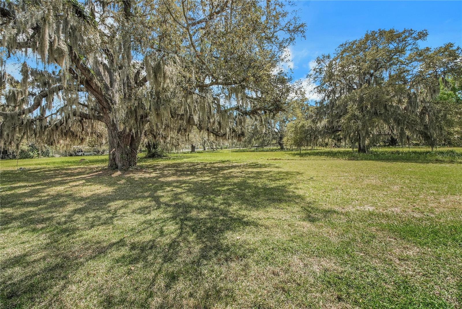 2218 ORKNEY DR, LEESBURG, FL, 34788