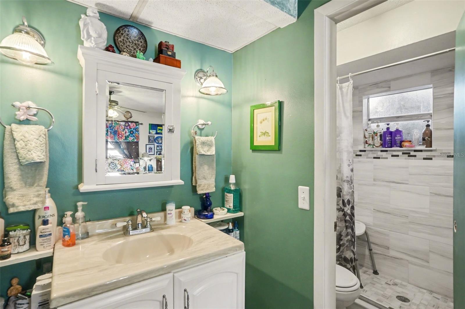 11207 CREEKVIEW DR, RIVERVIEW, FL, 33569