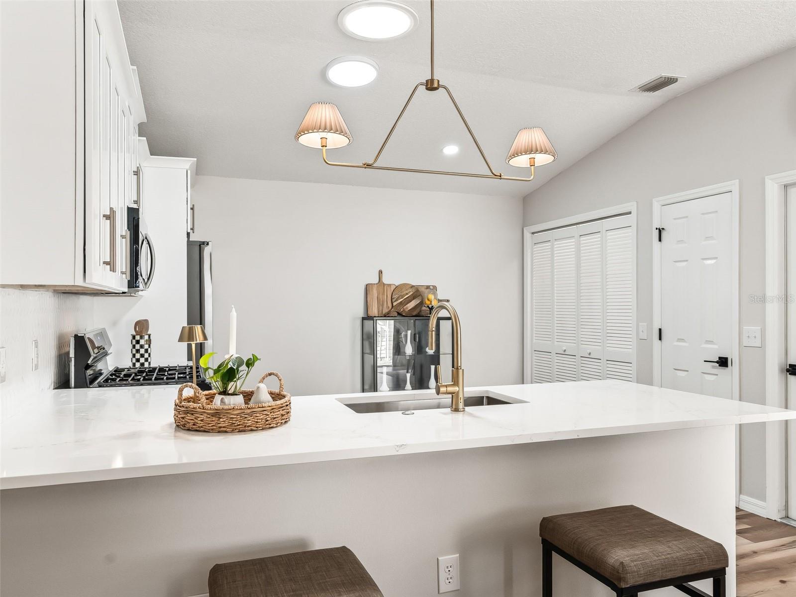 1245 JONESVILLE TER, THE VILLAGES, FL, 32162