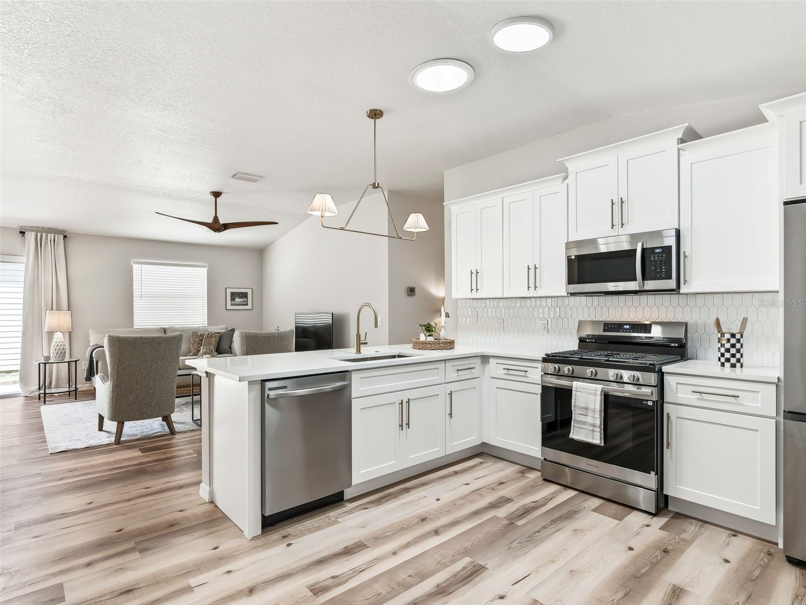1245 JONESVILLE TER, THE VILLAGES, FL, 32162