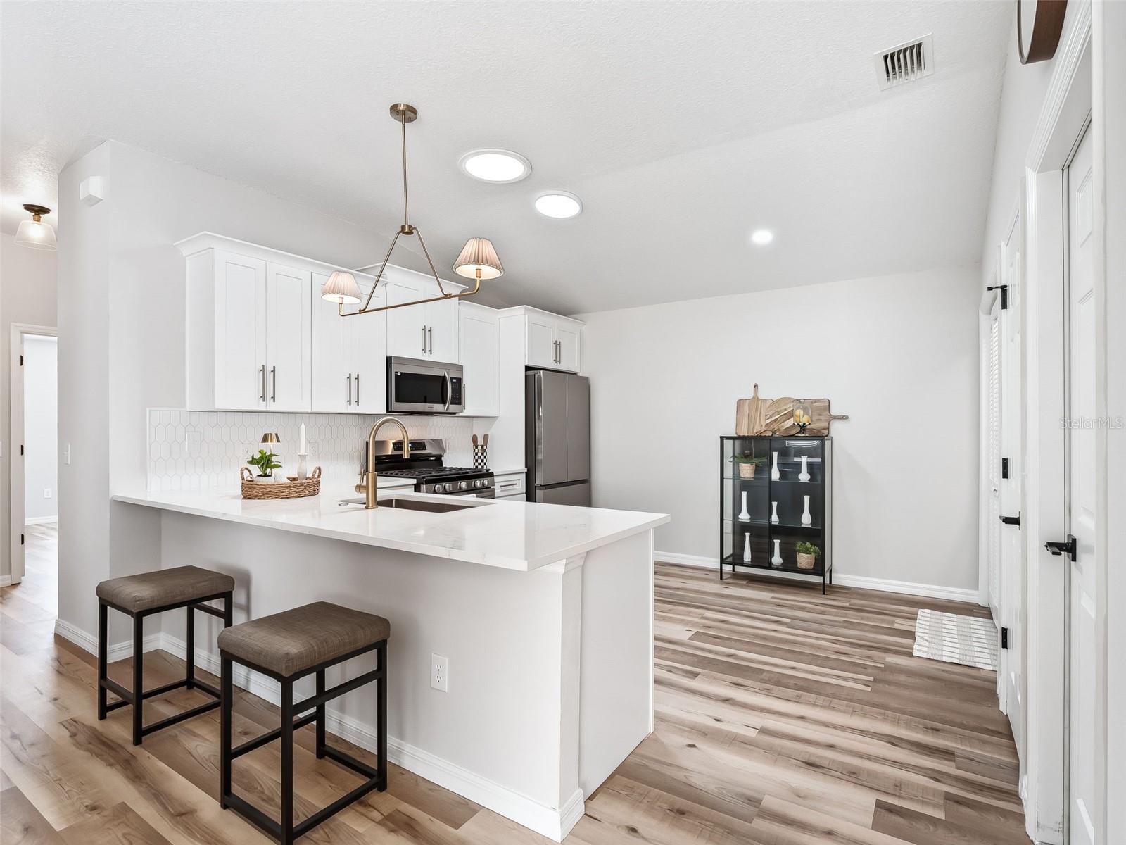 1245 JONESVILLE TER, THE VILLAGES, FL, 32162