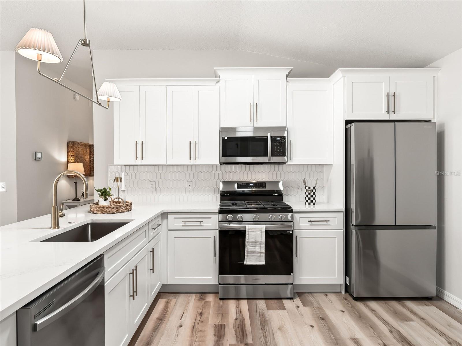 1245 JONESVILLE TER, THE VILLAGES, FL, 32162