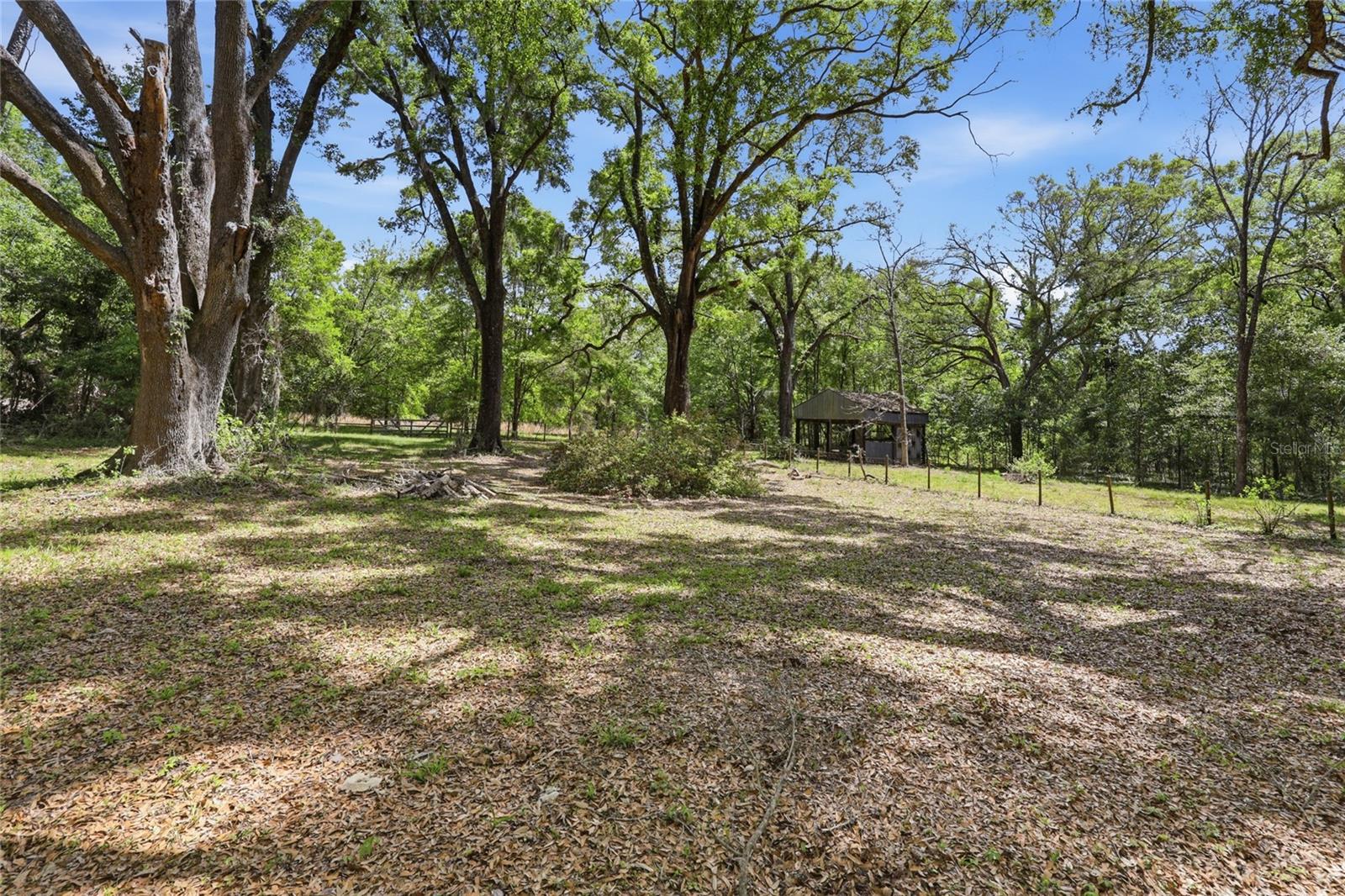 17611 NW 266TH ST, HIGH SPRINGS, FL, 32643