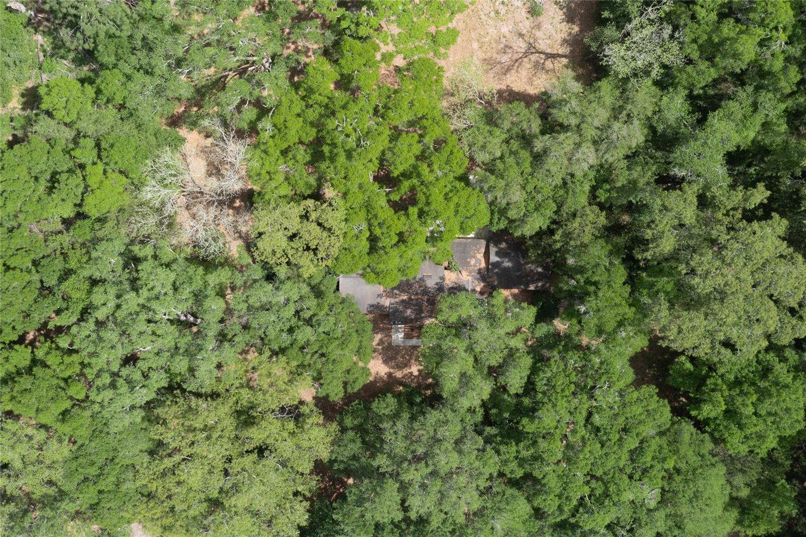 17611 NW 266TH ST, HIGH SPRINGS, FL, 32643