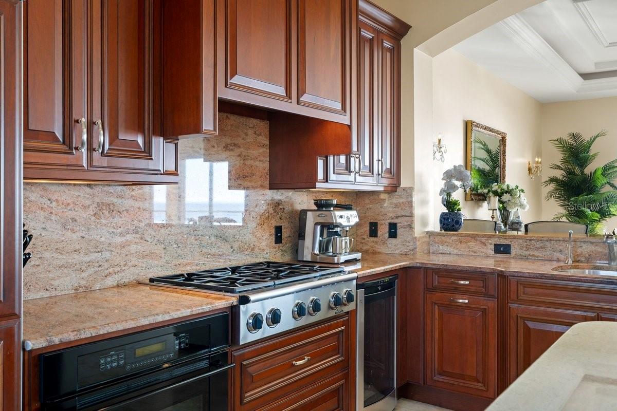 11 OCEAN DUNE CIR, PALM COAST, FL, 32137
