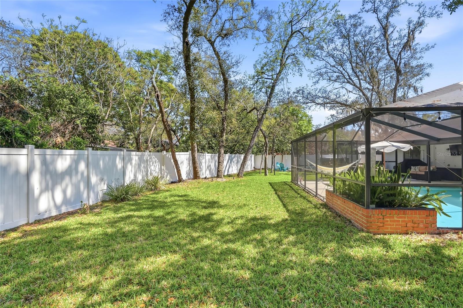 Let your pup run free