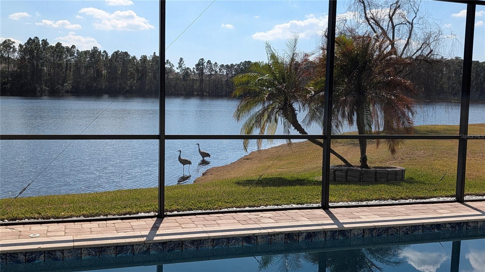 9958 OAK QUARRY DR, ORLANDO, FL, 32832