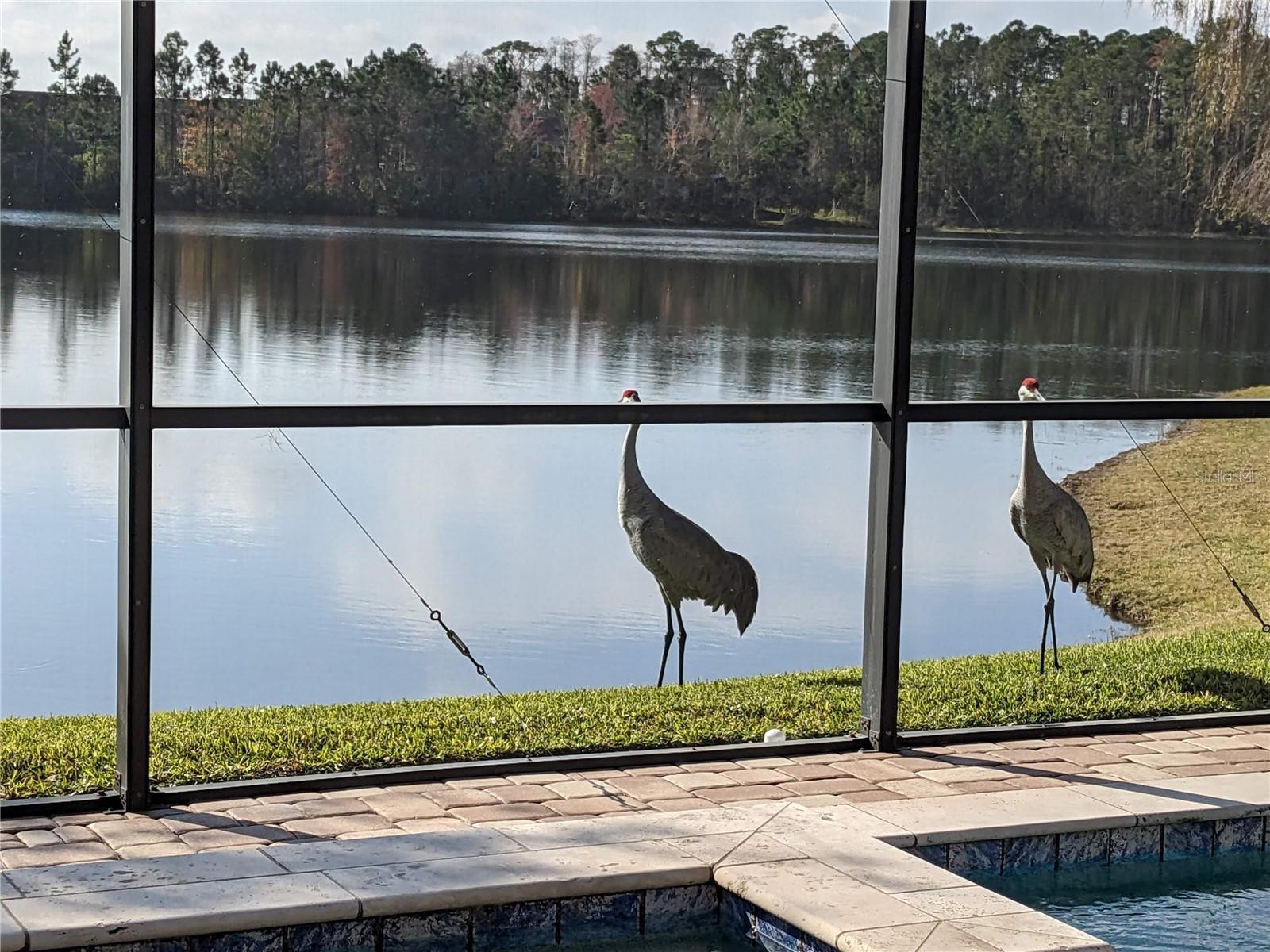 9958 OAK QUARRY DR, ORLANDO, FL, 32832