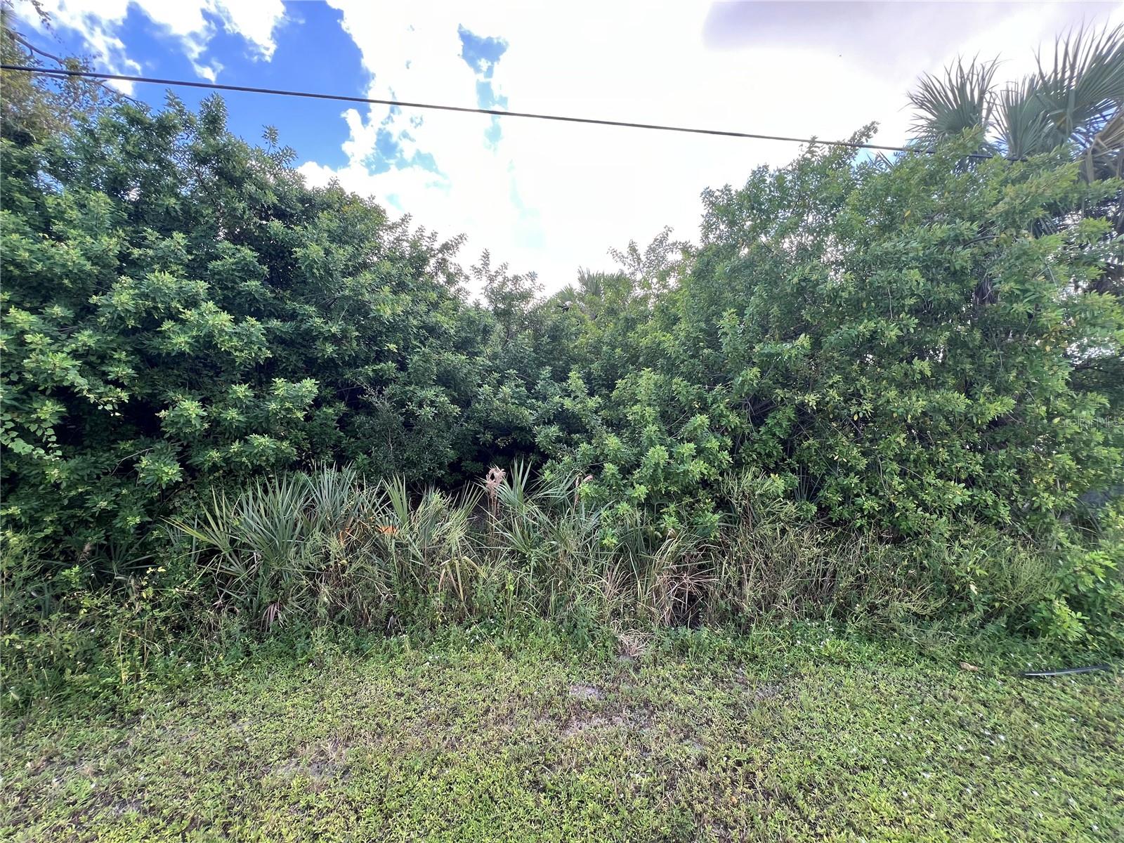RAYWOOD AVE, NORTH PORT, FL, 34286