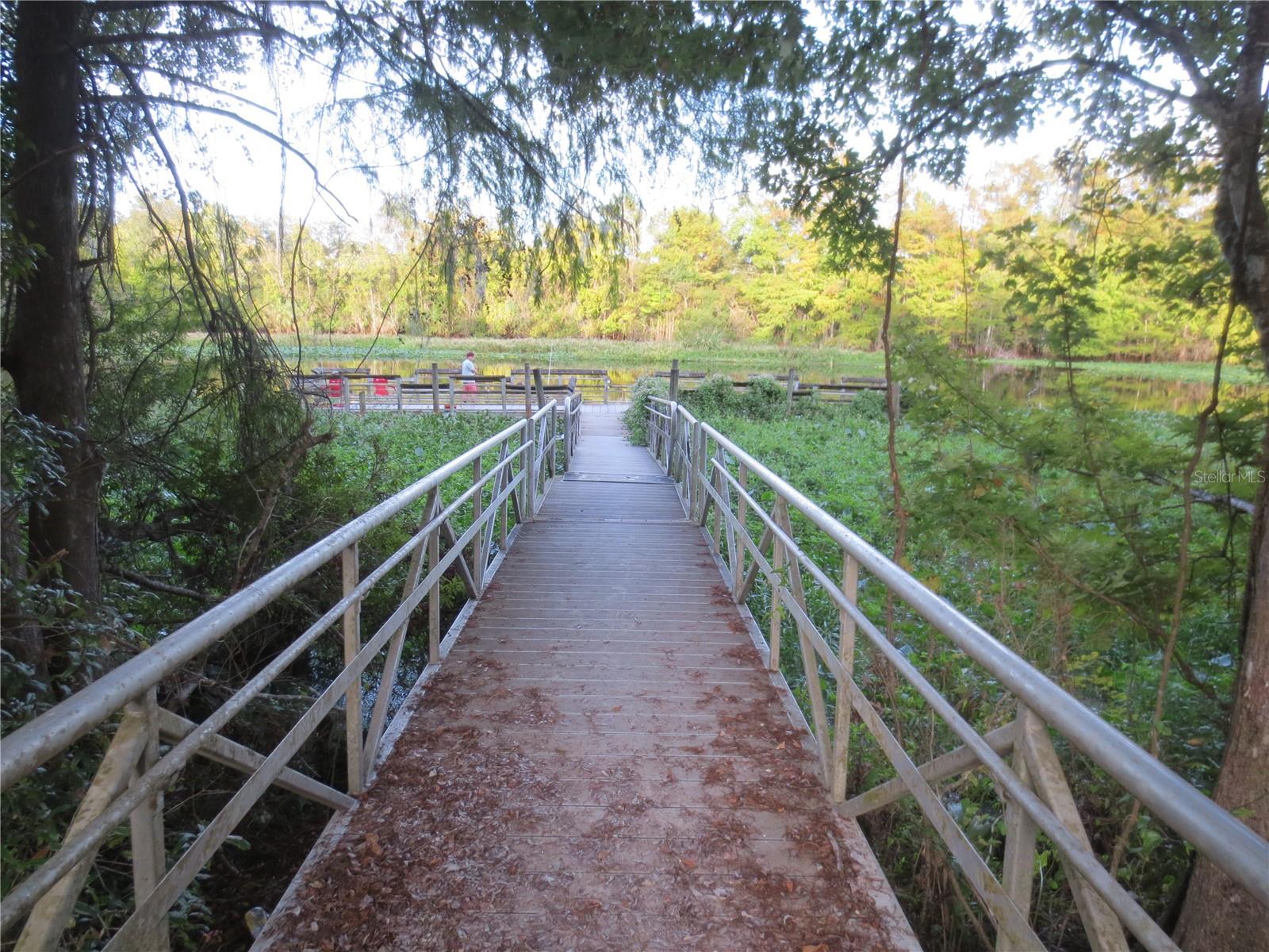 2380 SE 174TH CT, SILVER SPRINGS, FL, 34488
