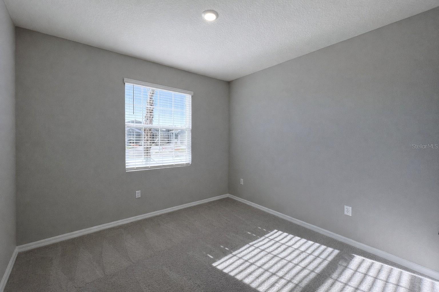 31101 MANGO FADE WAY, SAN ANTONIO, FL, 33576