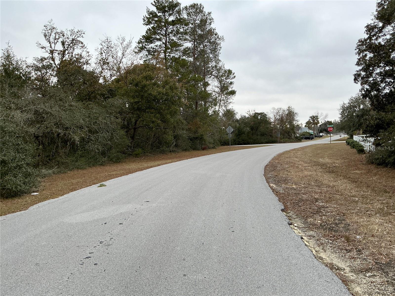 SW 137TH LOOP, OCALA, FL, 34473