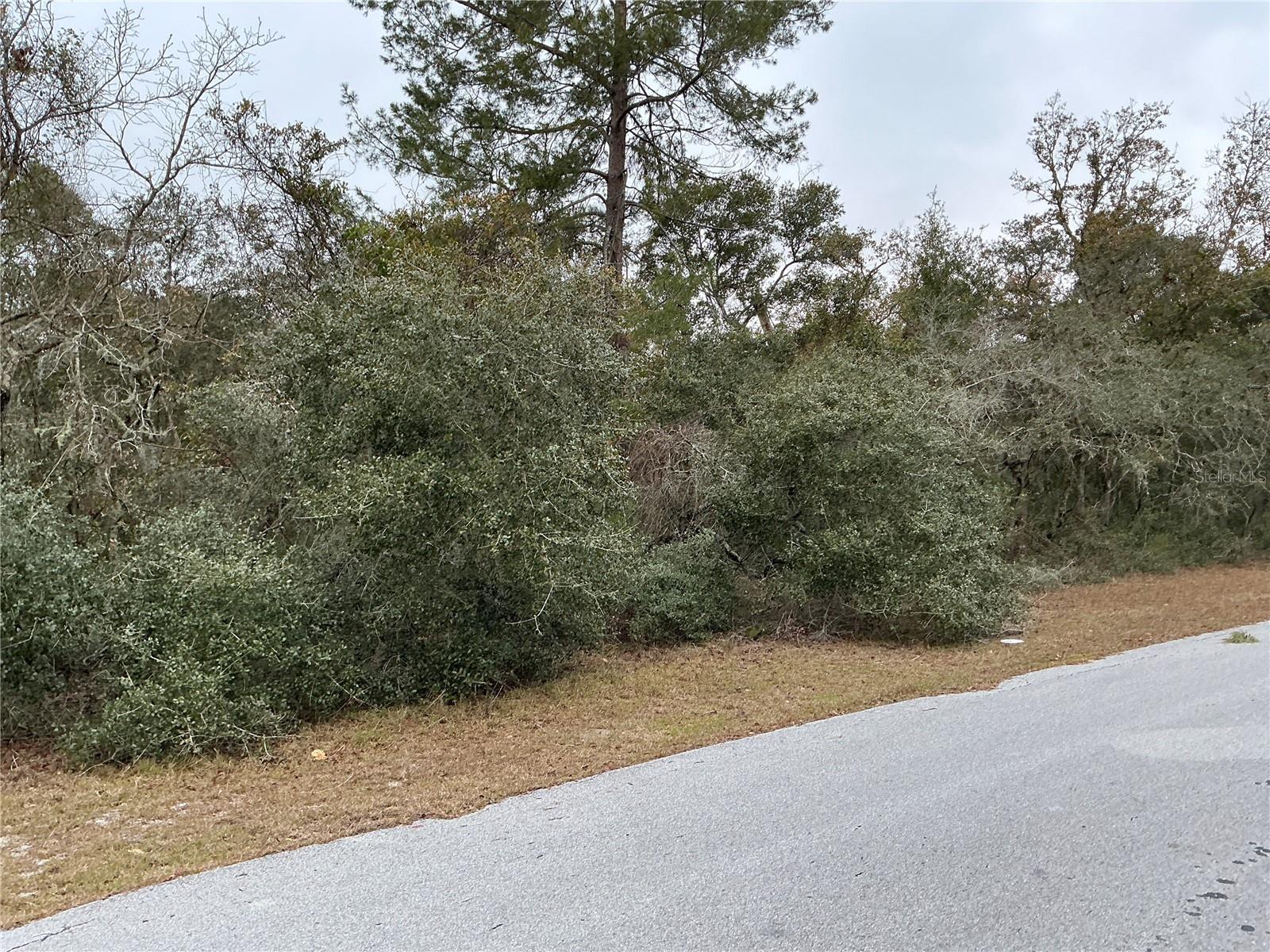 SW 137TH LOOP, OCALA, FL, 34473