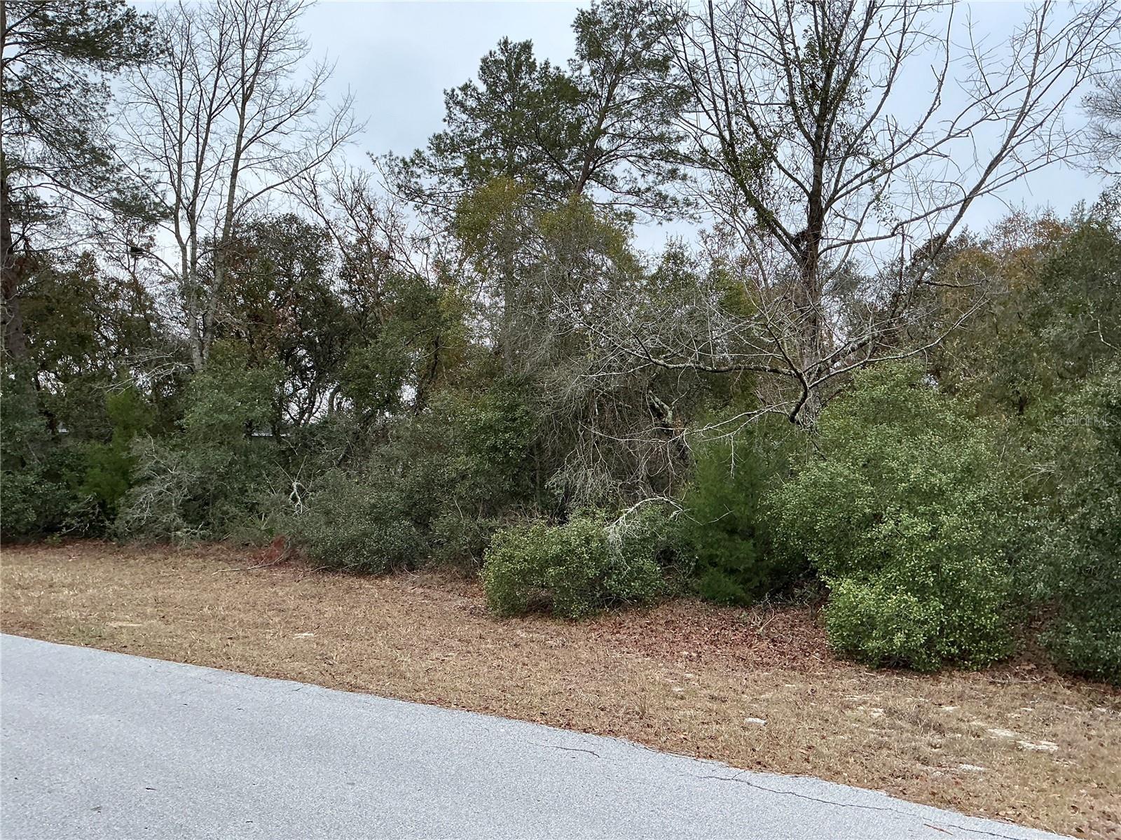 SW 137TH LOOP, OCALA, FL, 34473