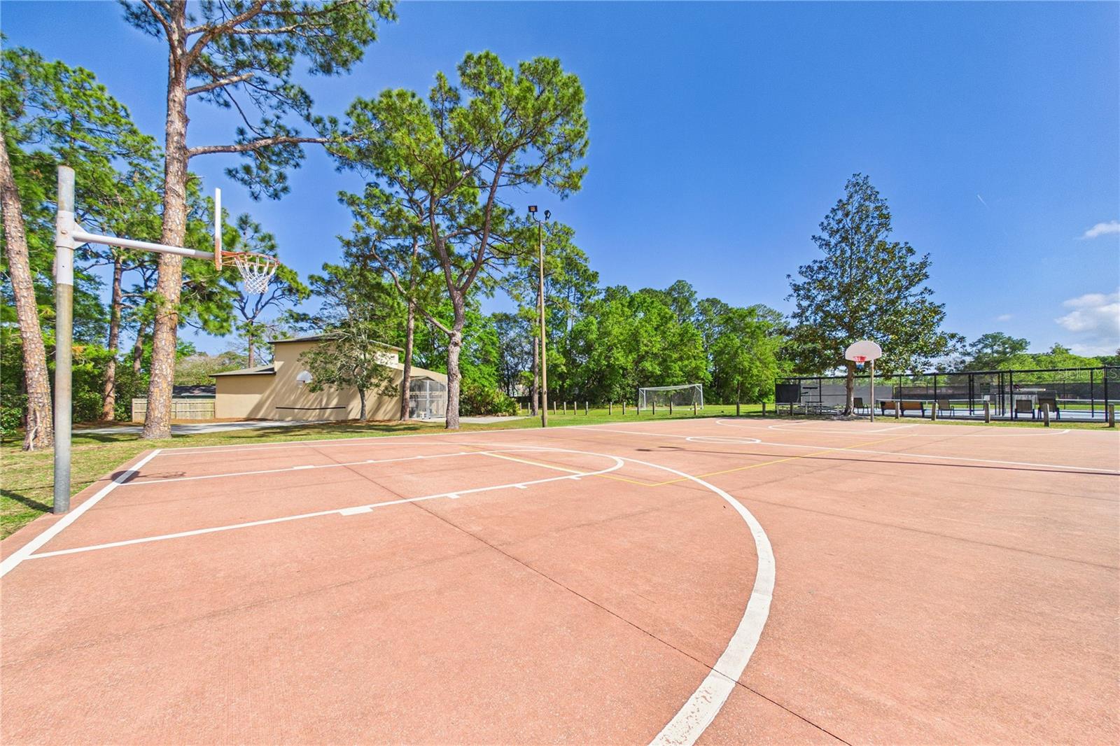 2487 WINGED ELM DR E, JACKSONVILLE, FL, 32246