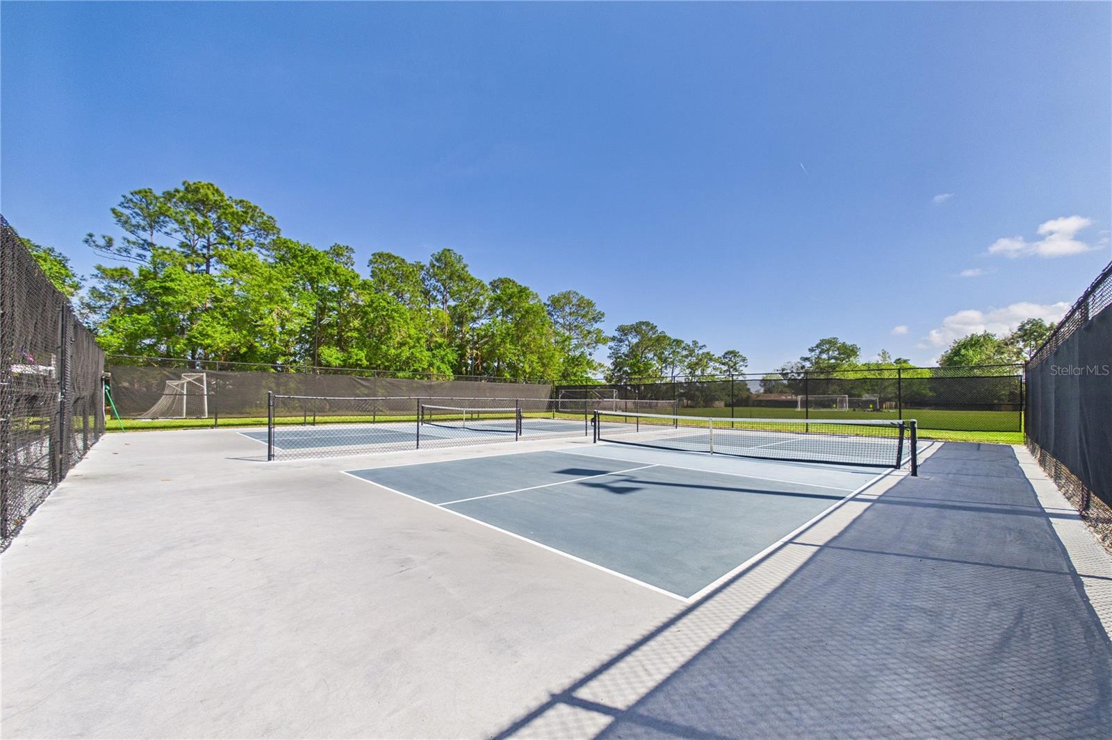 2487 WINGED ELM DR E, JACKSONVILLE, FL, 32246