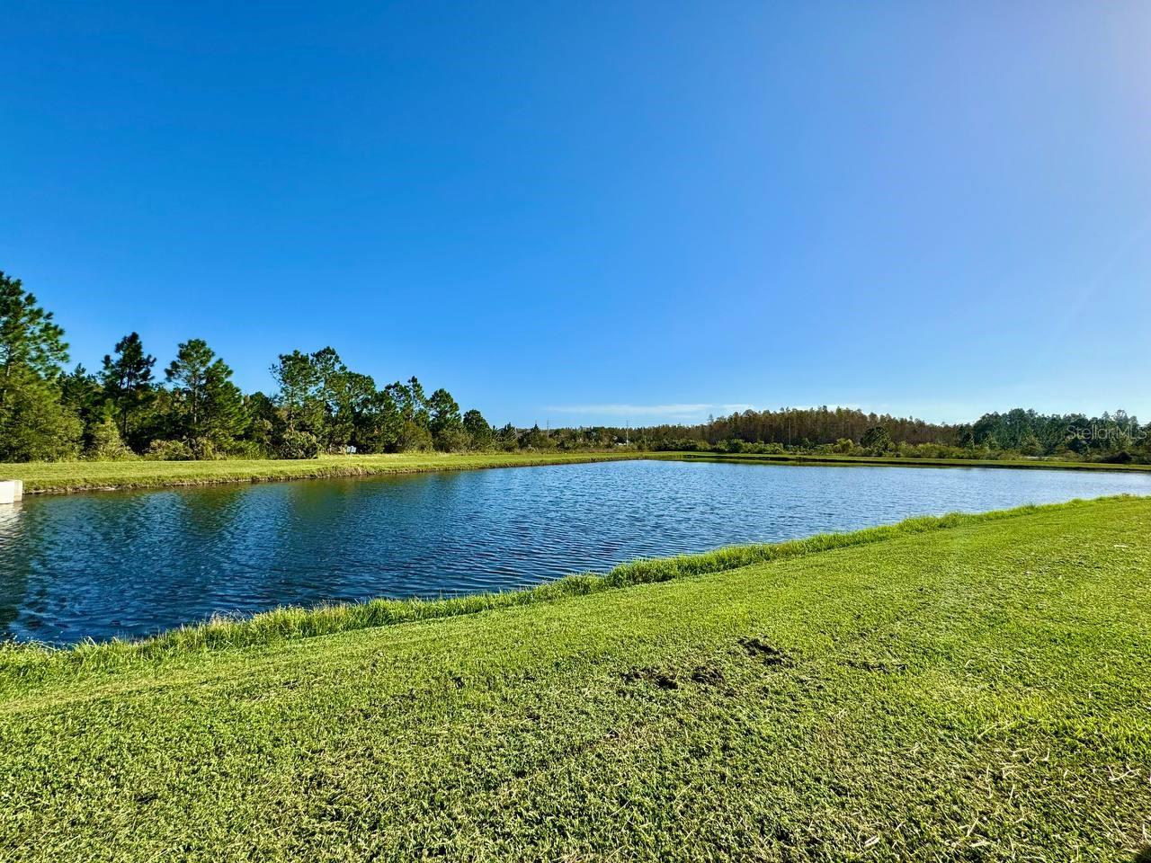 18815 HAMPSTEAD HEATH CT, LAND O LAKES, FL, 34638