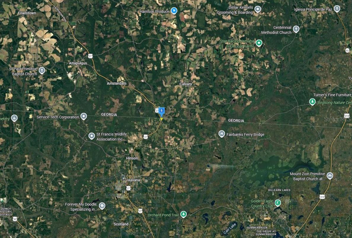 95 DORSEY-CALVARY RD, HAVANA, FL, 32333