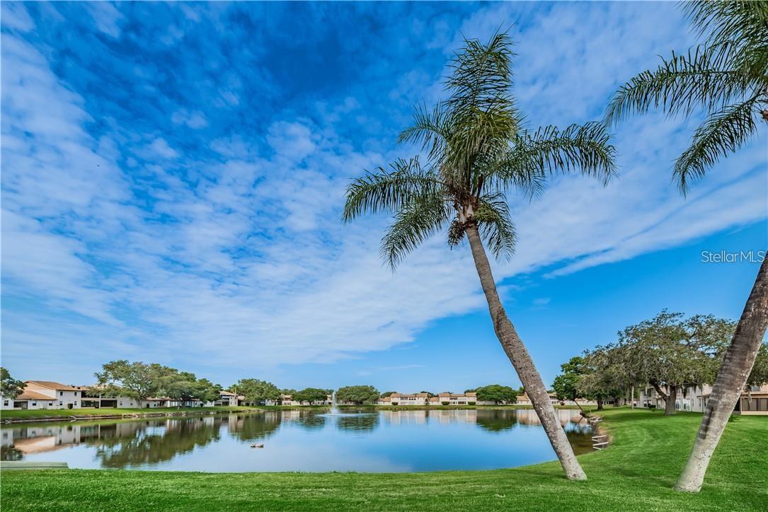 3838 STAYSAIL LN #3838, HOLIDAY, FL, 34691