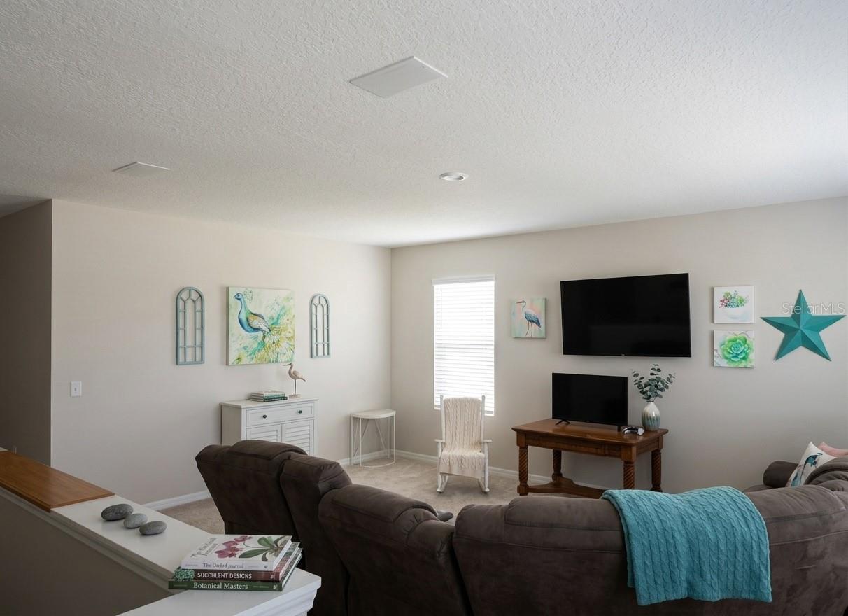3609 CRIMSON CLOVER DR, MOUNT DORA, FL, 32757