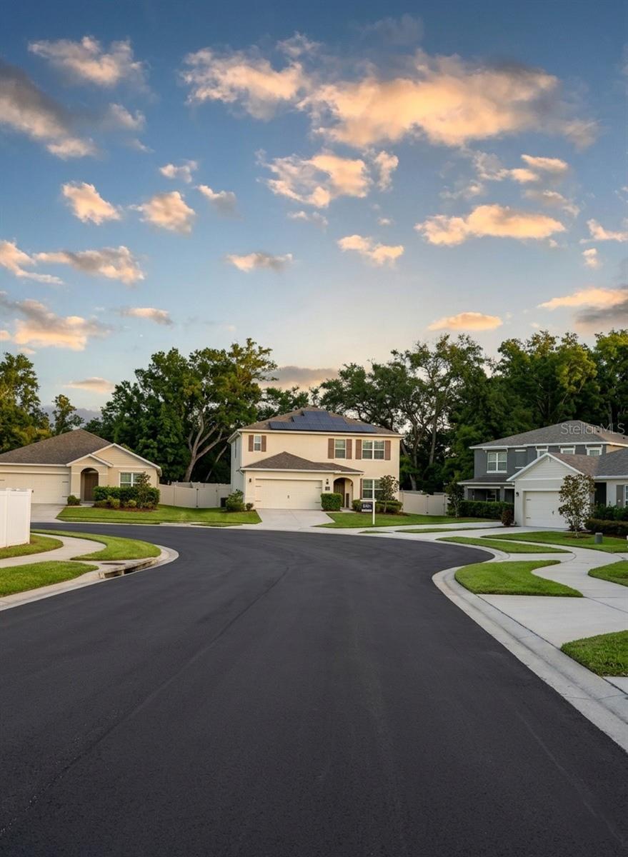 3609 CRIMSON CLOVER DR, MOUNT DORA, FL, 32757
