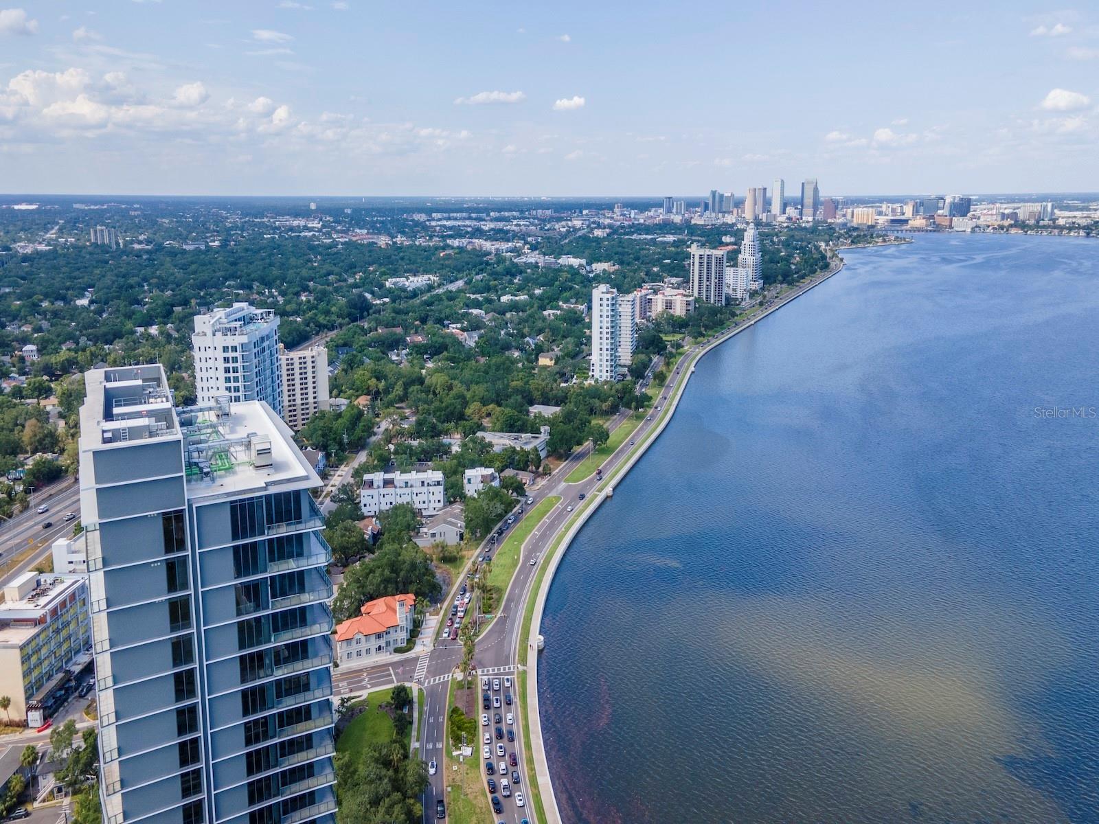 3101 BAYSHORE BLVD ST #1102, TAMPA, FL, 33629