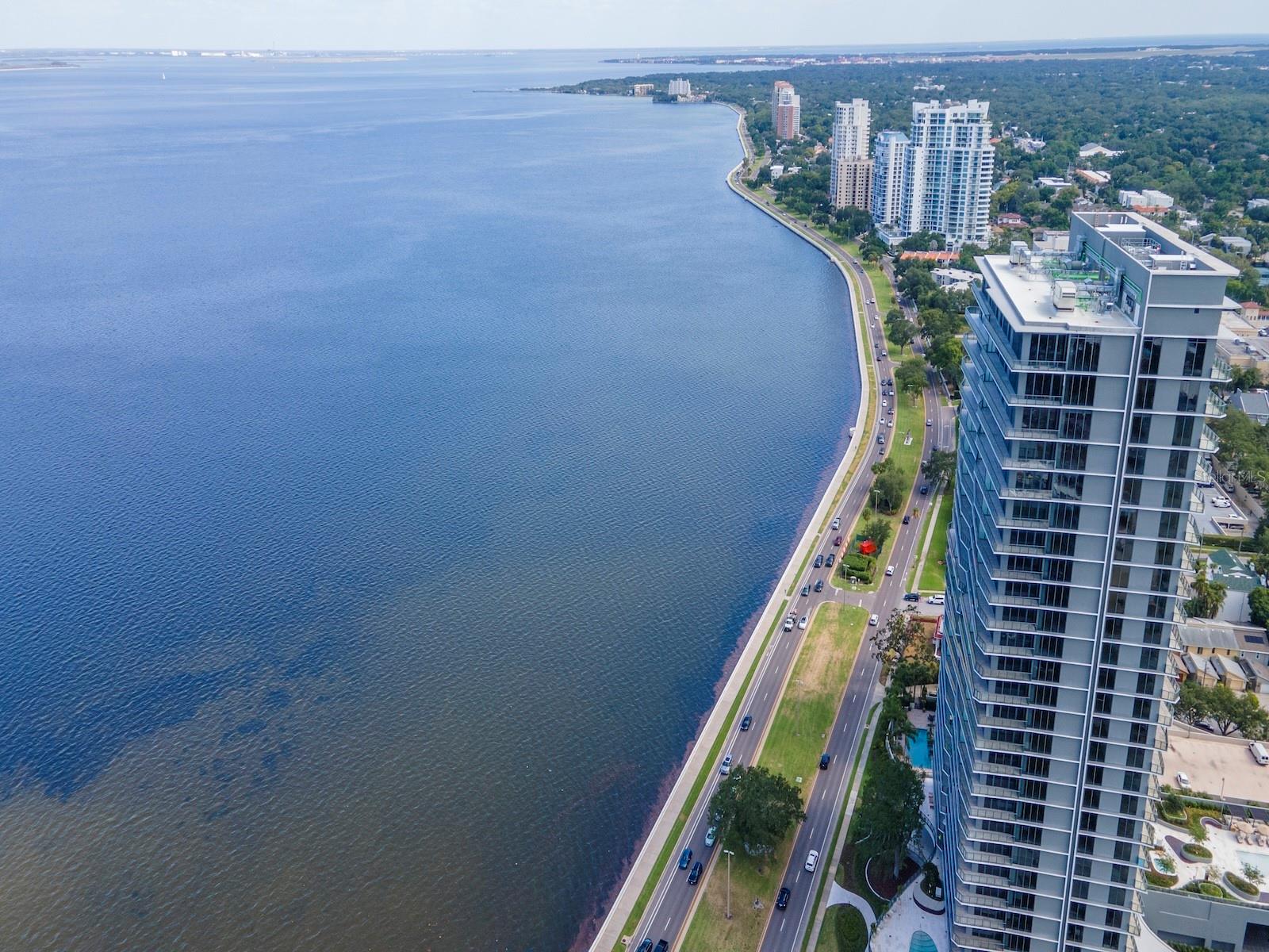 3101 BAYSHORE BLVD ST #1102, TAMPA, FL, 33629