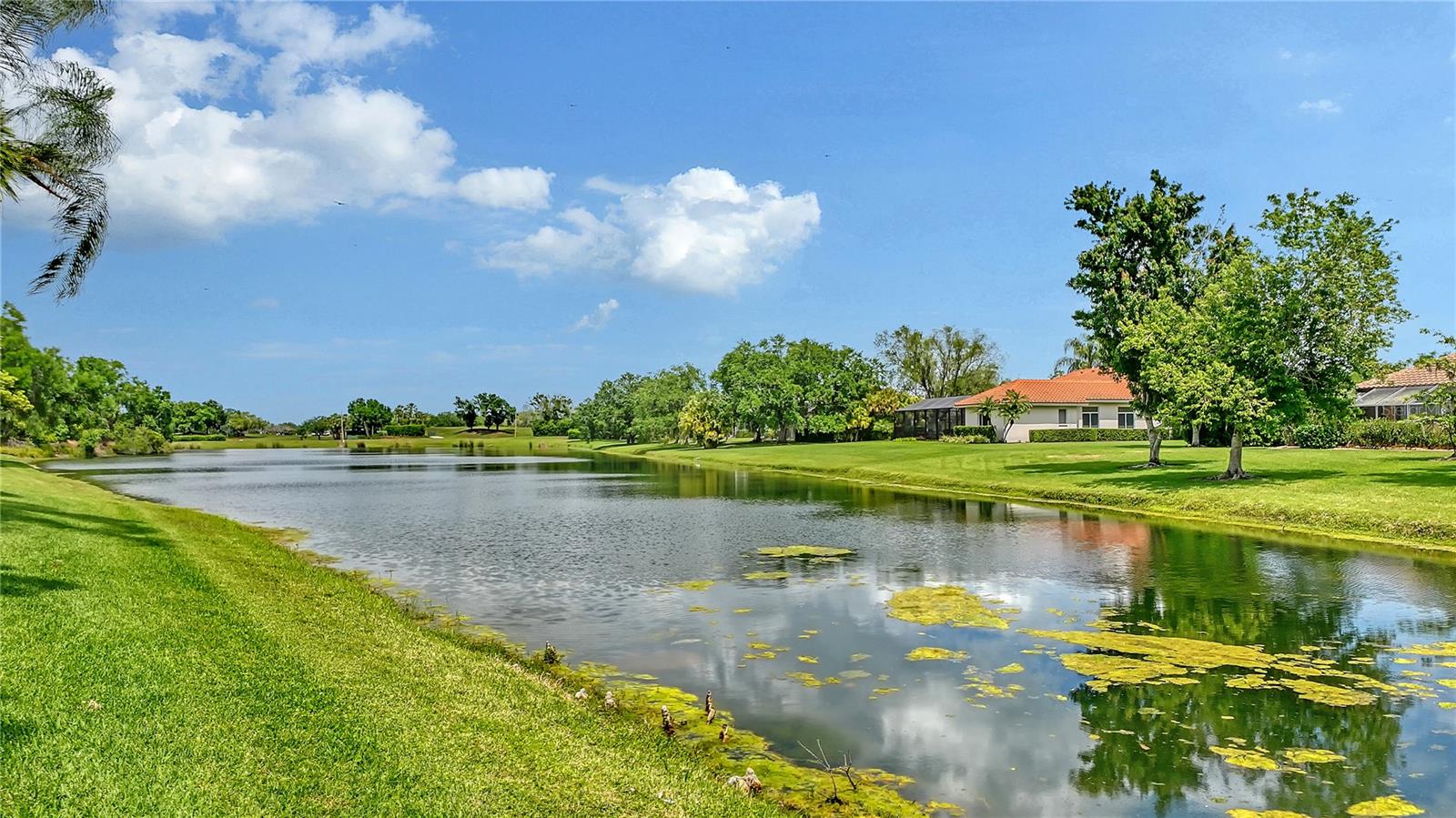 3271 ALEX FINDLAY PL, SARASOTA, FL, 34240