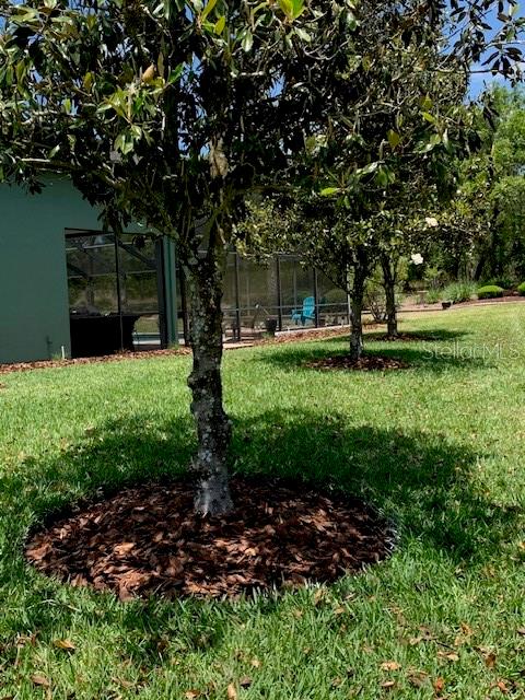 1 MINTWOOD PT, HOMOSASSA, FL, 34446