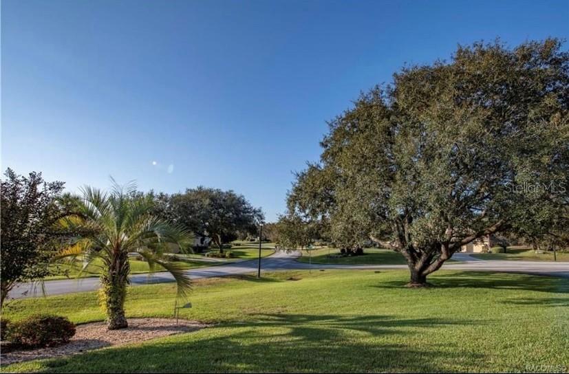 1 MINTWOOD PT, HOMOSASSA, FL, 34446