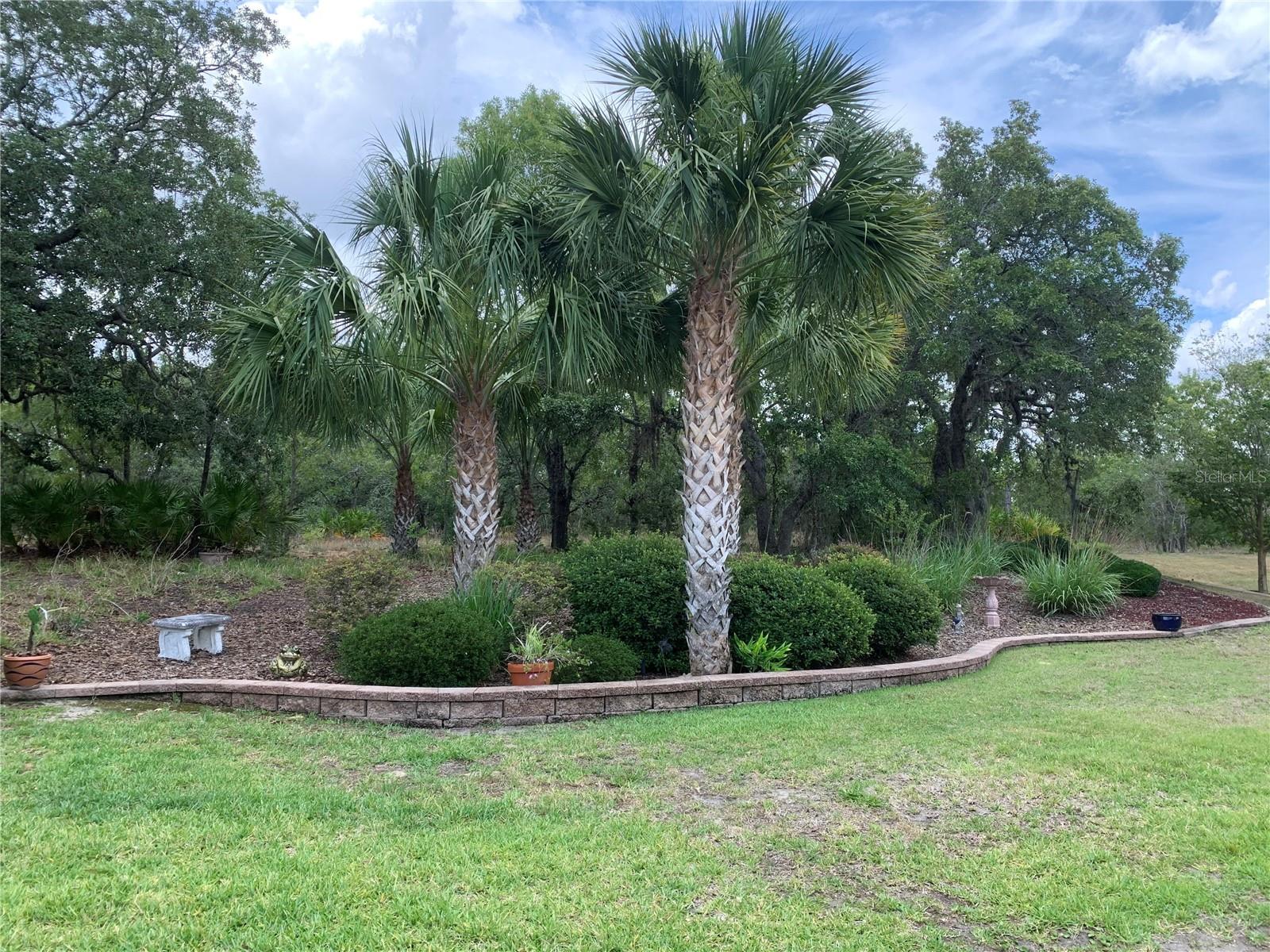 1 MINTWOOD PT, HOMOSASSA, FL, 34446