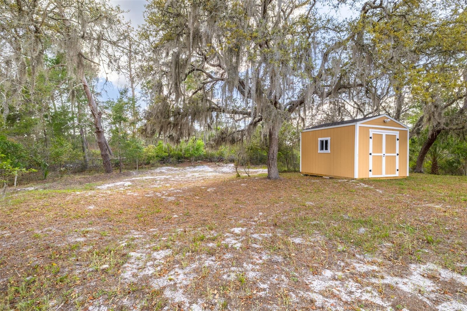 Backyard Shed with electric