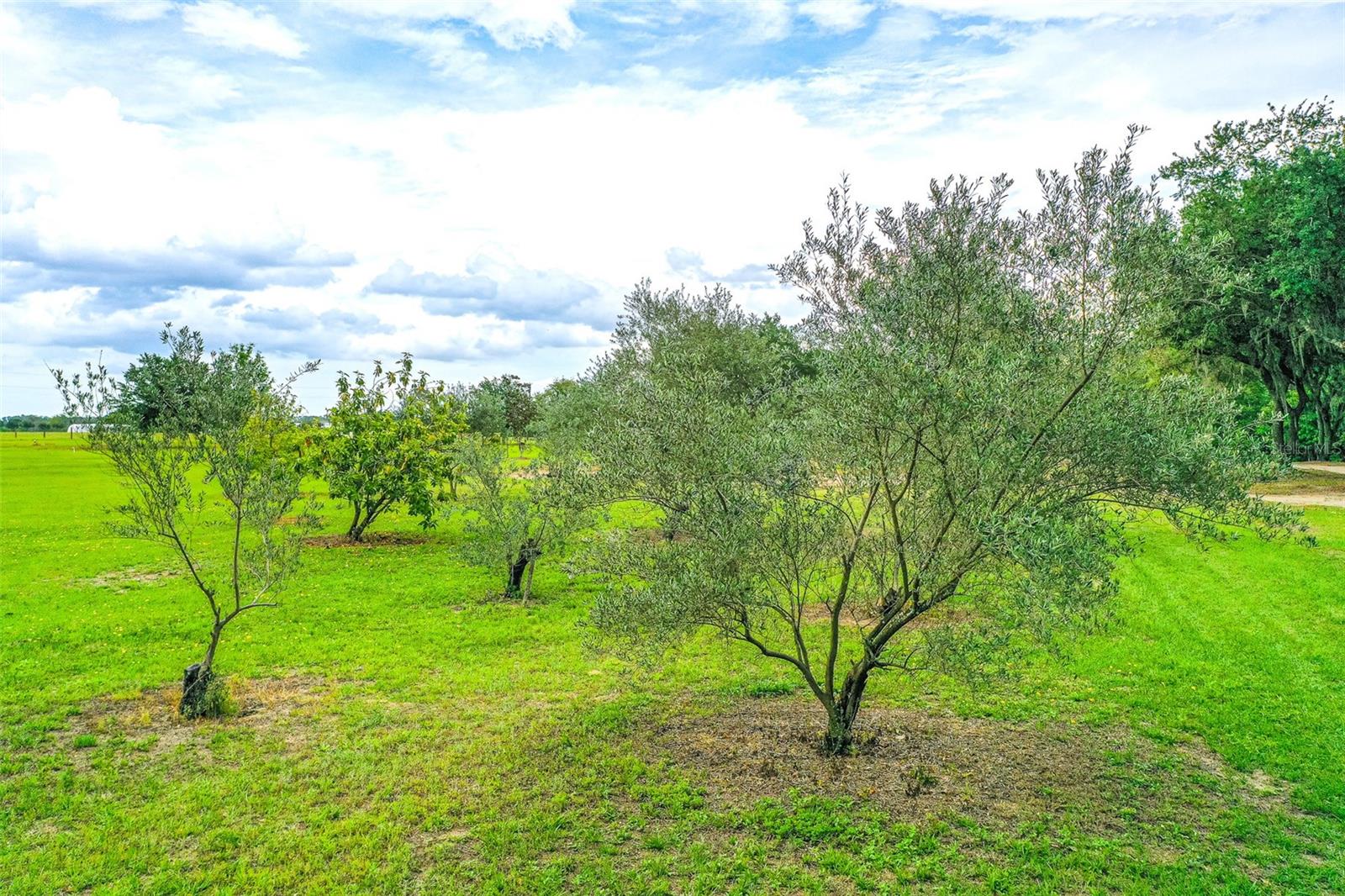 6850 HUNT RD, GROVELAND, FL, 34736